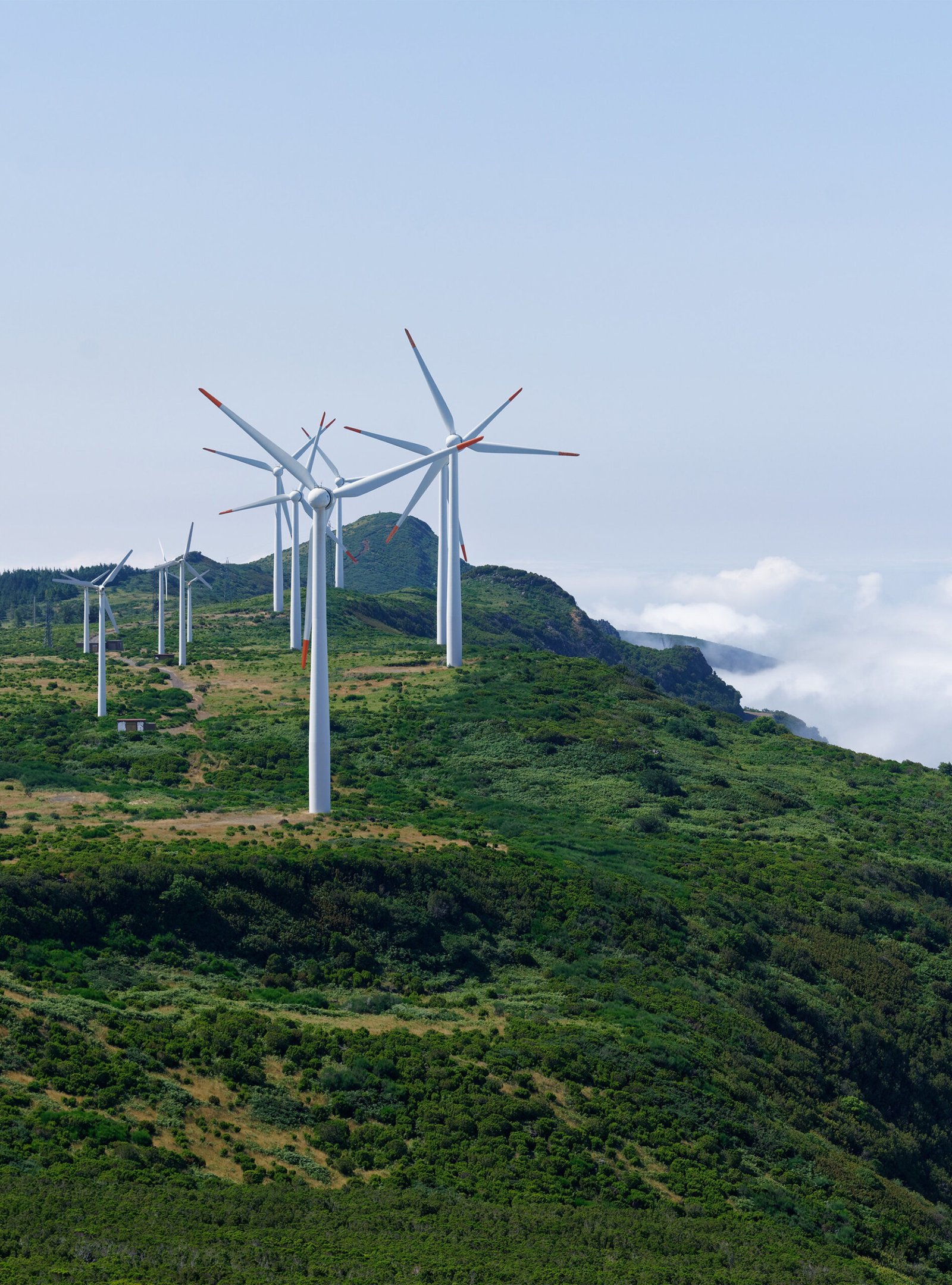 Wind turbines in a green landscape